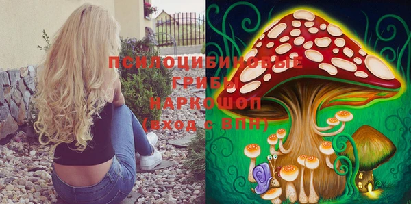mdpv Богородицк