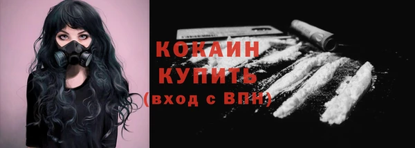 мдпв Богородск