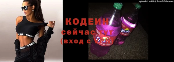 мдпв Богородск