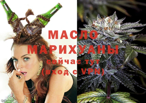 мдпв Богородск