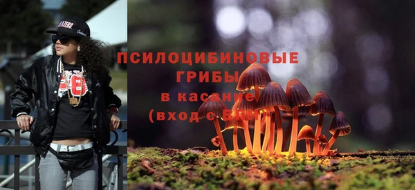 ALPHA-PVP Богданович