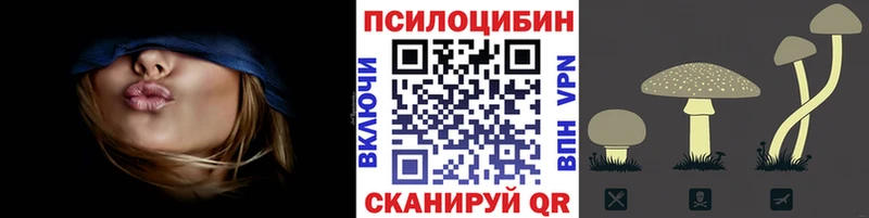 где можно купить наркотик Новороссийск Псилоцибиновые грибы Psilocybe